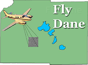 Fly Dane logo